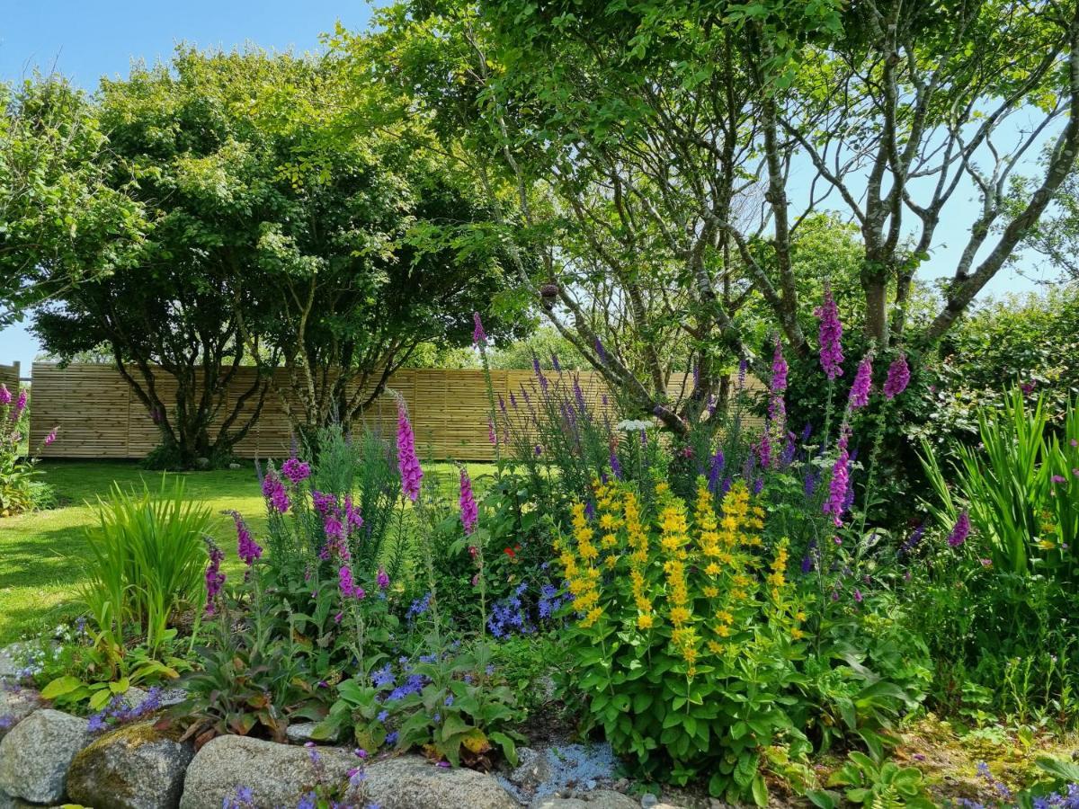 Hallegan Annexe With Private Garden And Woodland Camborne Esterno foto