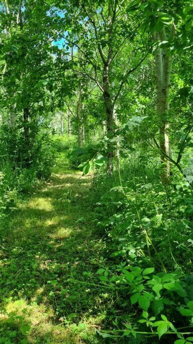 Hallegan Annexe With Private Garden And Woodland Camborne Esterno foto