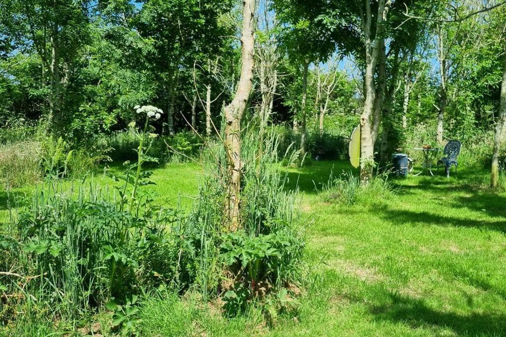 Hallegan Annexe With Private Garden And Woodland Camborne Esterno foto